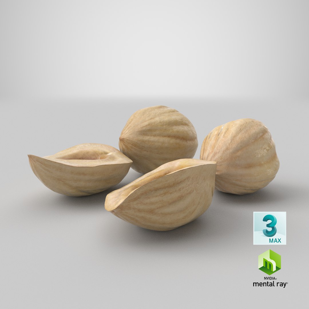 3D Hazelnuts https://p.turbosquid.com/ts-thumb/Zd/6pTv0O/bF/stemcell_max_mental_ray_render/png/1643948707/1920x1080/fit_q87/c1b2f9bc2f6e70b268527b28e71f9ba1aa3d6e07/stemcell_max_mental_ray_render.jpg