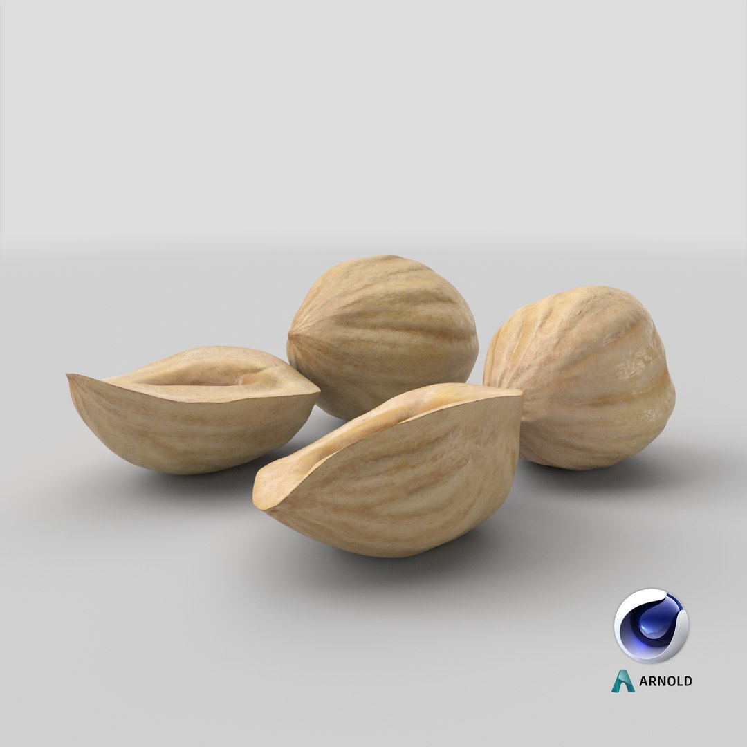3D Hazelnuts https://p.turbosquid.com/ts-thumb/Zd/6pTv0O/dU/stemcell_cinema_4d_arnold_render/png/1643948704/1920x1080/fit_q87/8a29bcca1e2600a48802ff69ae71eaaec9e4120e/stemcell_cinema_4d_arnold_render.jpg
