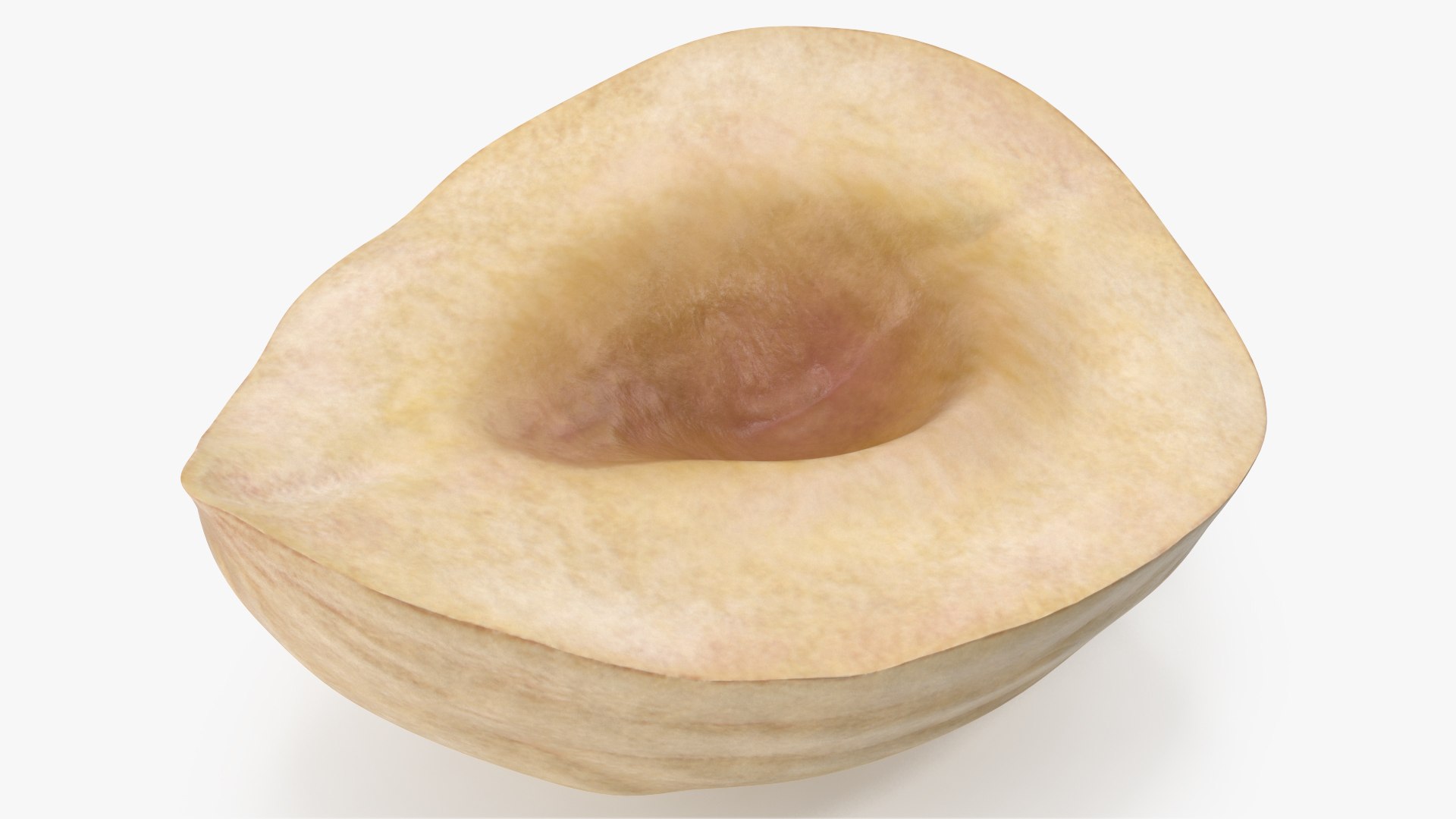 3D Hazelnuts https://p.turbosquid.com/ts-thumb/Zd/6pTv0O/kK/angles_17/jpg/1643386520/1920x1080/fit_q87/95630813102cabd6a7e80e0b625ccba2a9f9cc01/angles_17.jpg