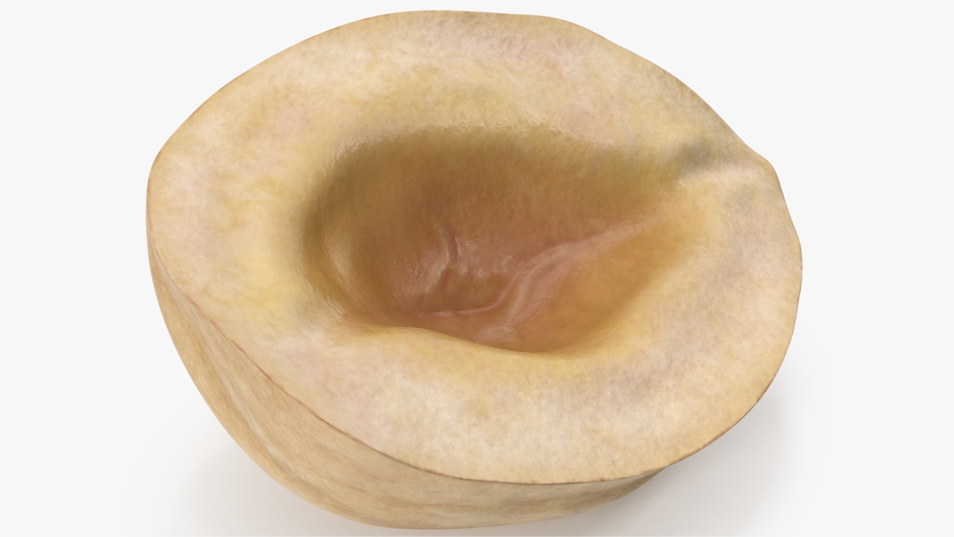 3D Hazelnuts https://p.turbosquid.com/ts-thumb/Zd/6pTv0O/nL/angles_22/jpg/1643386554/1920x1080/fit_q87/7ed95a49308b561e2039aa64f05ef99f029a5a85/angles_22.jpg