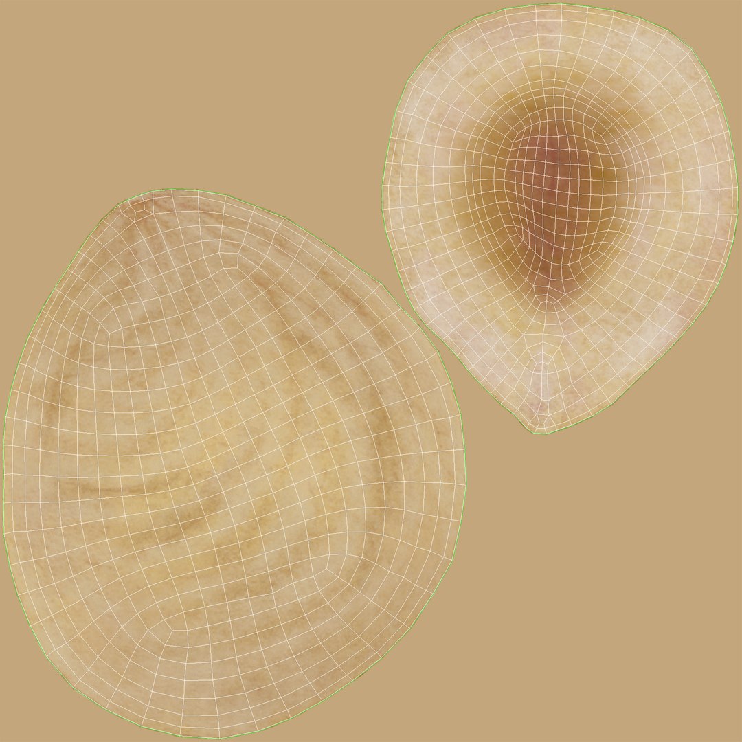 3D Hazelnuts https://p.turbosquid.com/ts-thumb/Zd/6pTv0O/ps/03_uv/jpg/1643387206/1920x1080/fit_q87/a51e45813c03afc2ed9b3cff9c27546d1b572b69/03_uv.jpg
