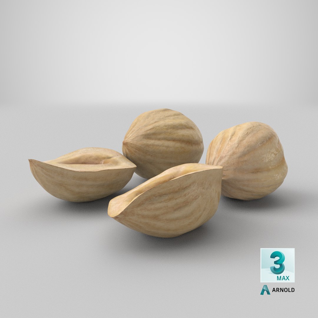 3D Hazelnuts https://p.turbosquid.com/ts-thumb/Zd/6pTv0O/qF/stemcell_max_arnold_render/png/1643948706/1920x1080/fit_q87/161c830e76d04167c2e7a793836f9f01d826a2ab/stemcell_max_arnold_render.jpg