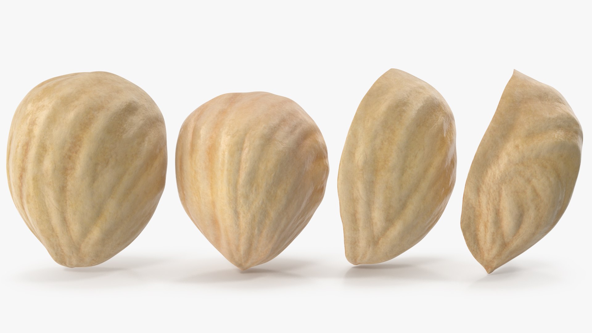 3D Hazelnuts https://p.turbosquid.com/ts-thumb/Zd/6pTv0O/xM/angles_08/jpg/1643386597/1920x1080/fit_q87/f45acd4d573fe9561547c31b3135ae6aceaff069/angles_08.jpg