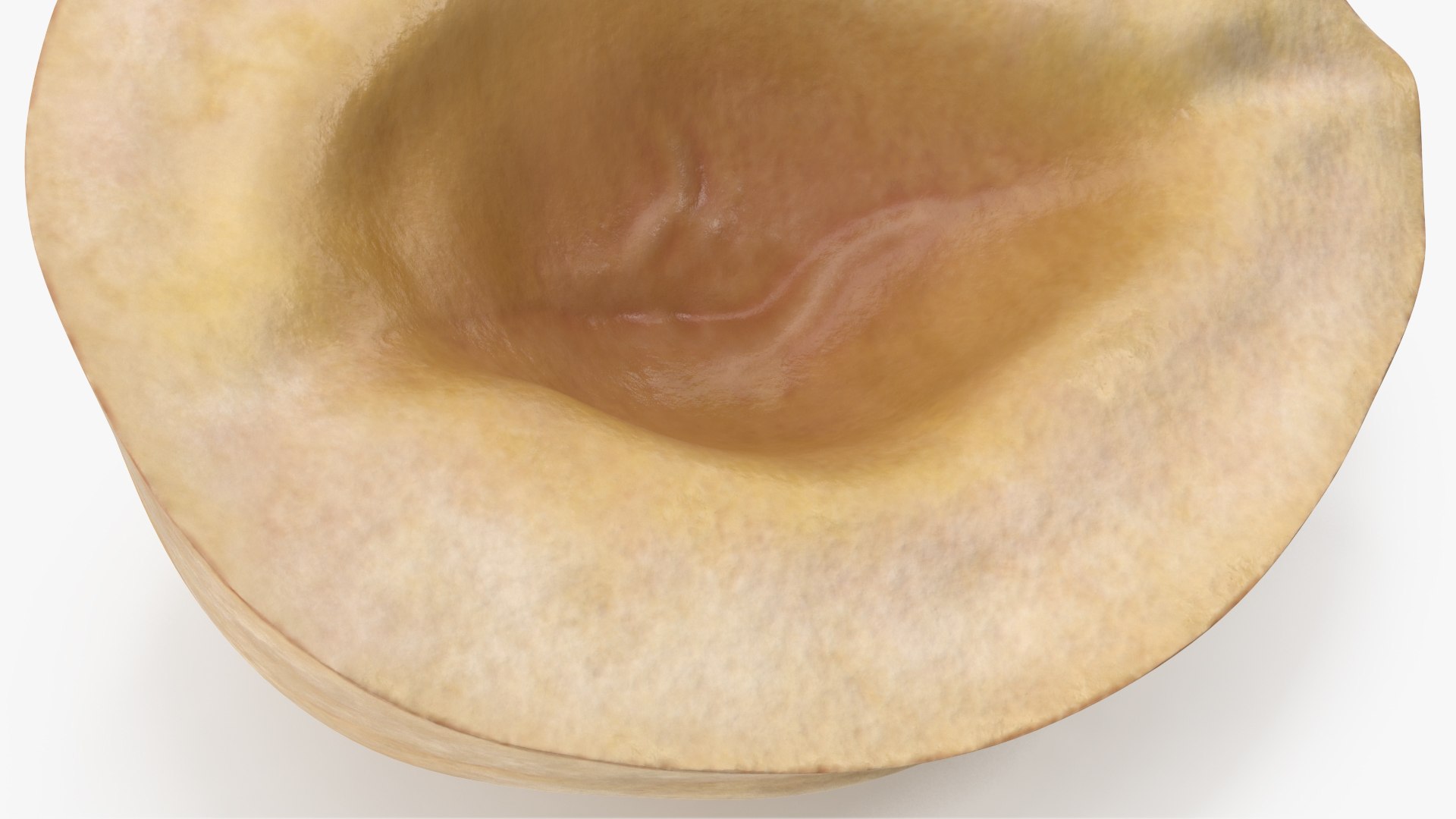 3D Hazelnuts https://p.turbosquid.com/ts-thumb/Zd/6pTv0O/y4/angles_24/jpg/1643386589/1920x1080/fit_q87/8cb6295f82ba498e08011f33458d4a6b0f9a333b/angles_24.jpg