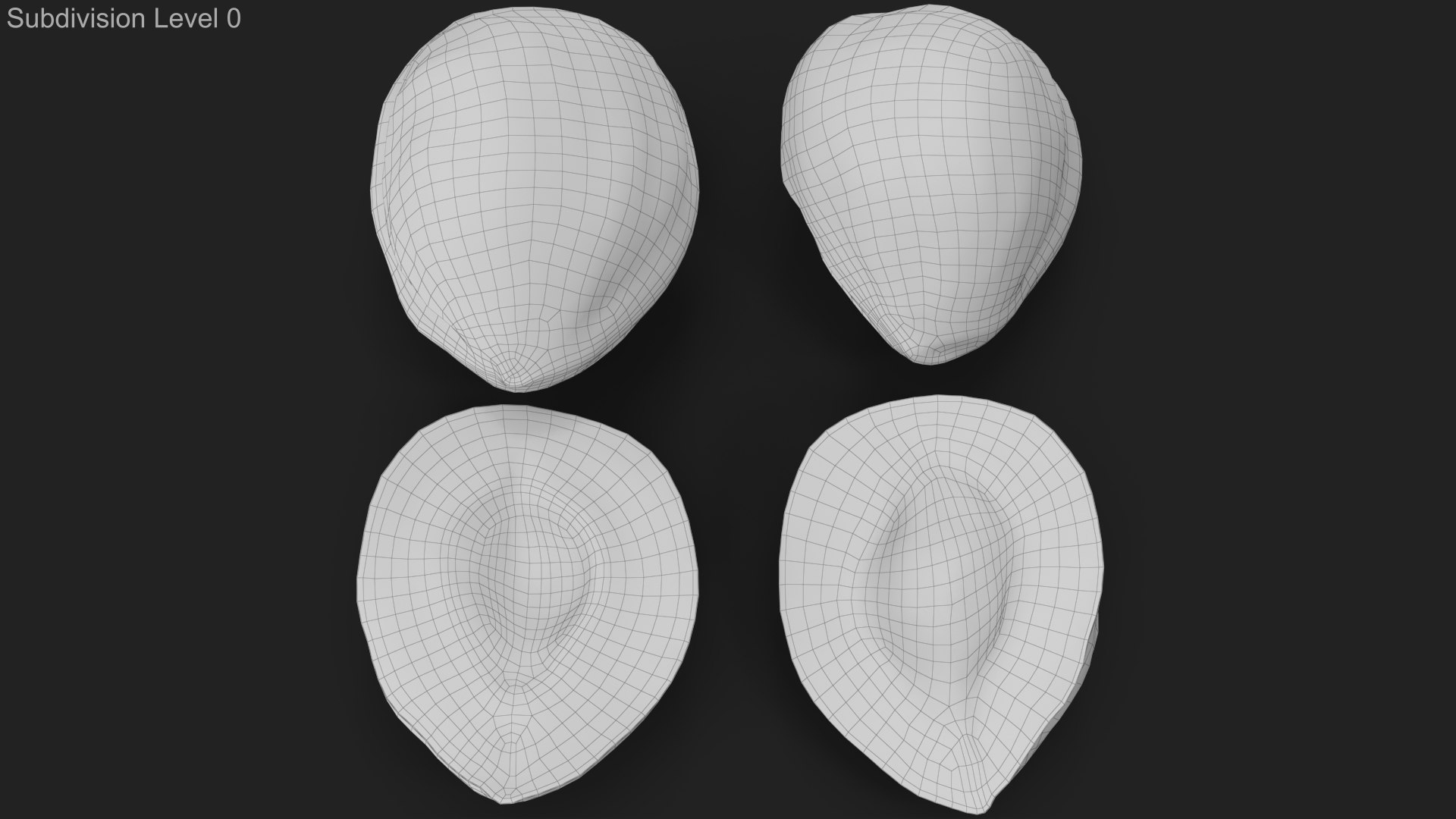 3D Hazelnuts https://p.turbosquid.com/ts-thumb/Zd/6pTv0O/zn/wireframe_00/jpg/1643387547/1920x1080/fit_q87/71642aee8c74d3b32529030631e9a55b74332661/wireframe_00.jpg