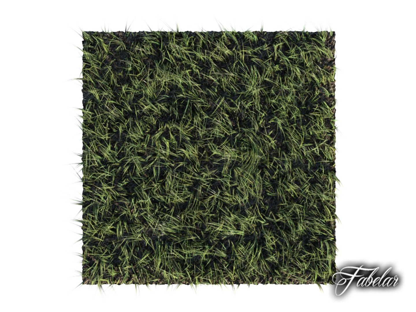 3d model grass patch https://p.turbosquid.com/ts-thumb/Zd/9ILa1l/bbJxs1xN/grass7_03/jpg/1393186720/1920x1080/fit_q87/a3e7776f171558b3b9e8f3c1ff3f8aa8134d68b7/grass7_03.jpg