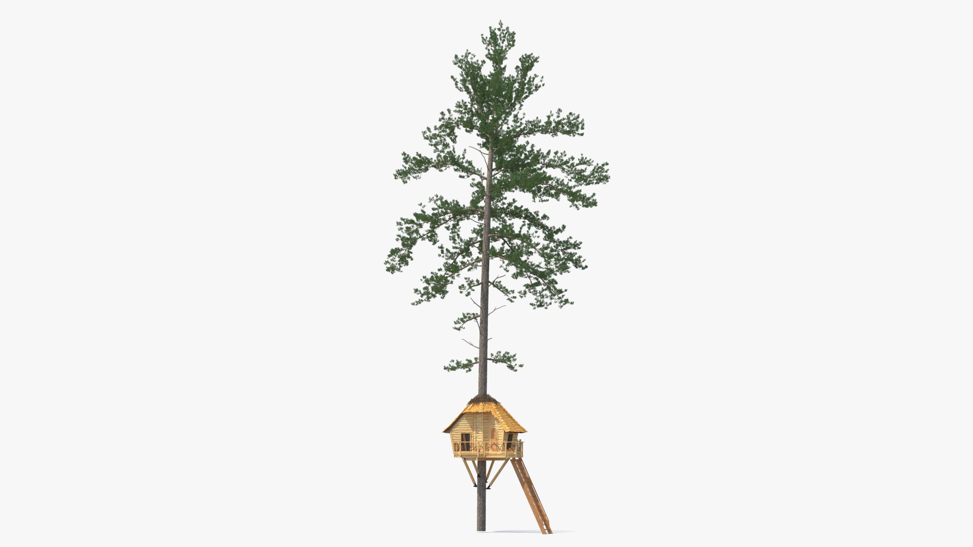 Tree House with One Pine 3D model preview