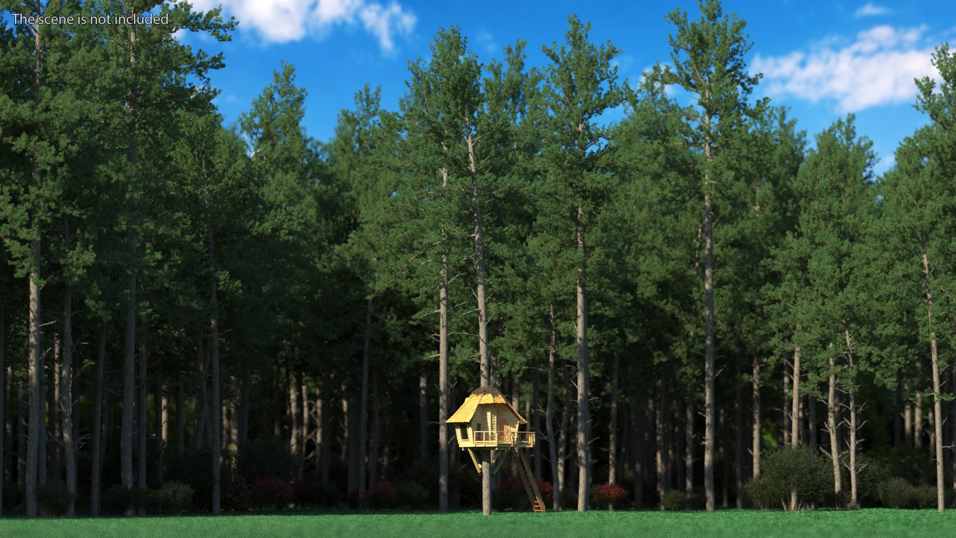Tree House With One Pine 3D Model - TurboSquid 2101947