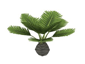 obj small palm tree