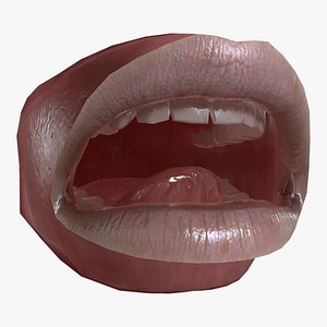 MTH-001 Rigged Mouth