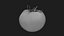 3D Tomato Collection model