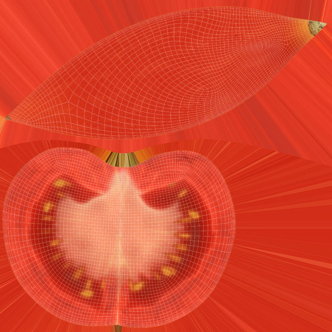 Tomato Collection 2 model https://p.turbosquid.com/ts-thumb/Zd/Sq2esm/X8/tomatoslice2_d0004/jpg/1744399982/1920x1080/fit_q87/fa64fd545c5221077ca51c3817cdf5c7a2559bf4/tomatoslice2_d0004.jpg