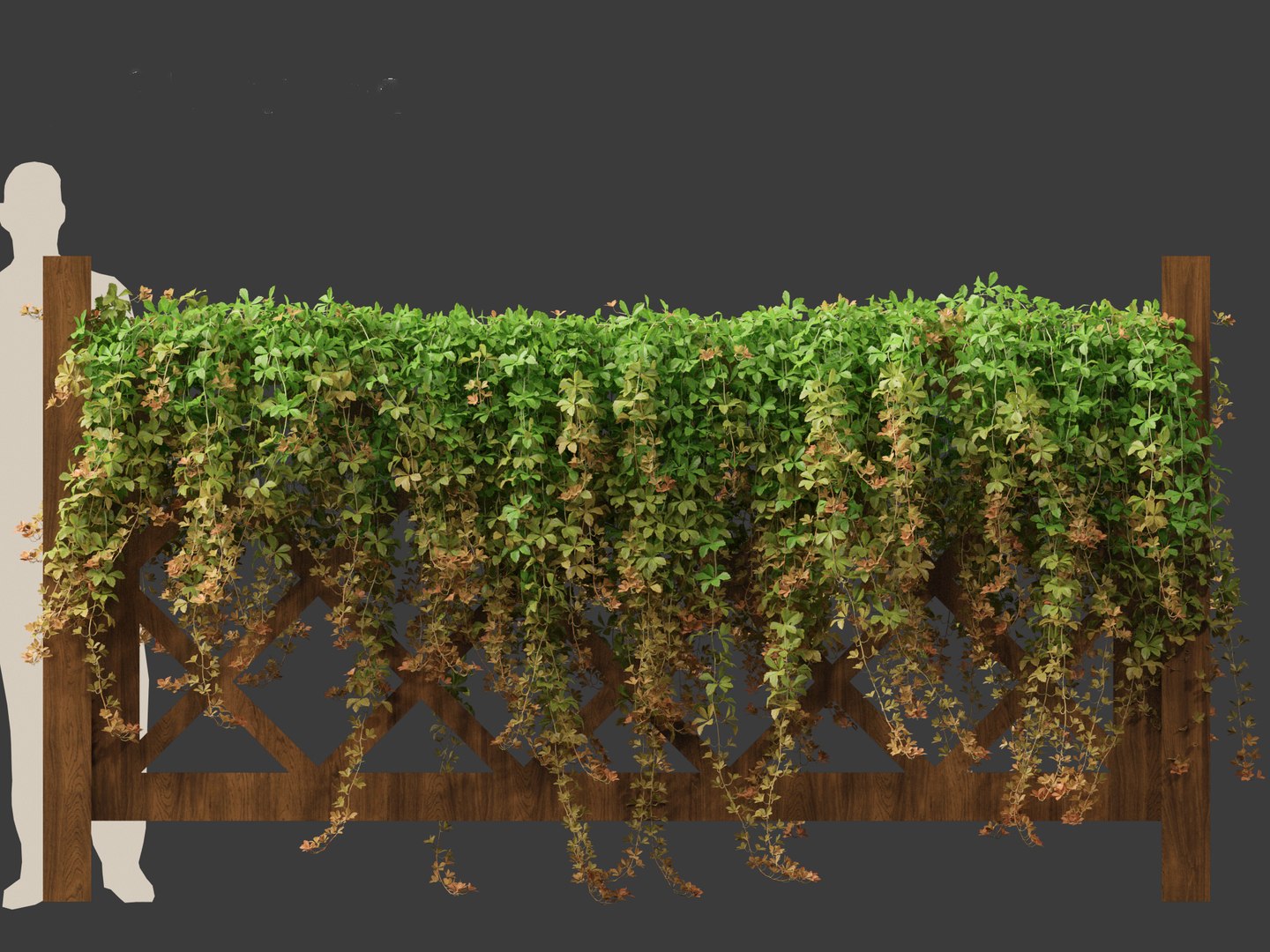Parthenocissus Sikkimensis - Sikkim 01 3D https://p.turbosquid.com/ts-thumb/Zd/XJ8Msn/j7/parthenocissussikkimensis016/jpg/1690350705/1920x1080/fit_q87/bd41f687467020373ab6124ad694cb5f706ec199/parthenocissussikkimensis016.jpg