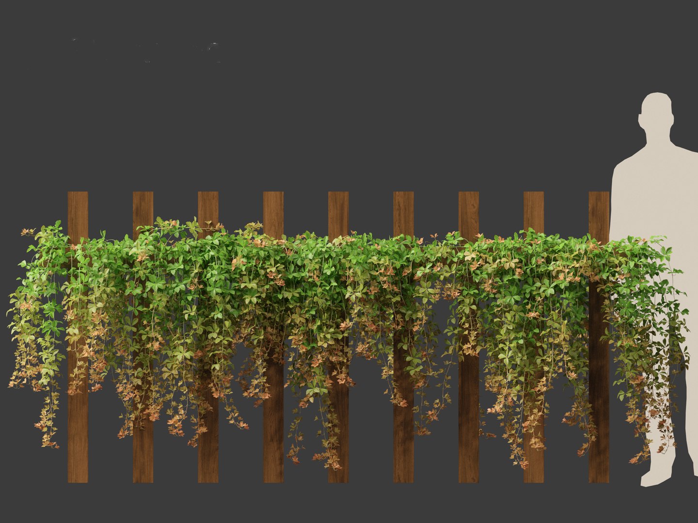 Parthenocissus Sikkimensis - Sikkim 01 3D https://p.turbosquid.com/ts-thumb/Zd/XJ8Msn/jl/parthenocissussikkimensis014/jpg/1690350678/1920x1080/fit_q87/066603e2b14a2a5cd572f800291fb1e2fd642c71/parthenocissussikkimensis014.jpg
