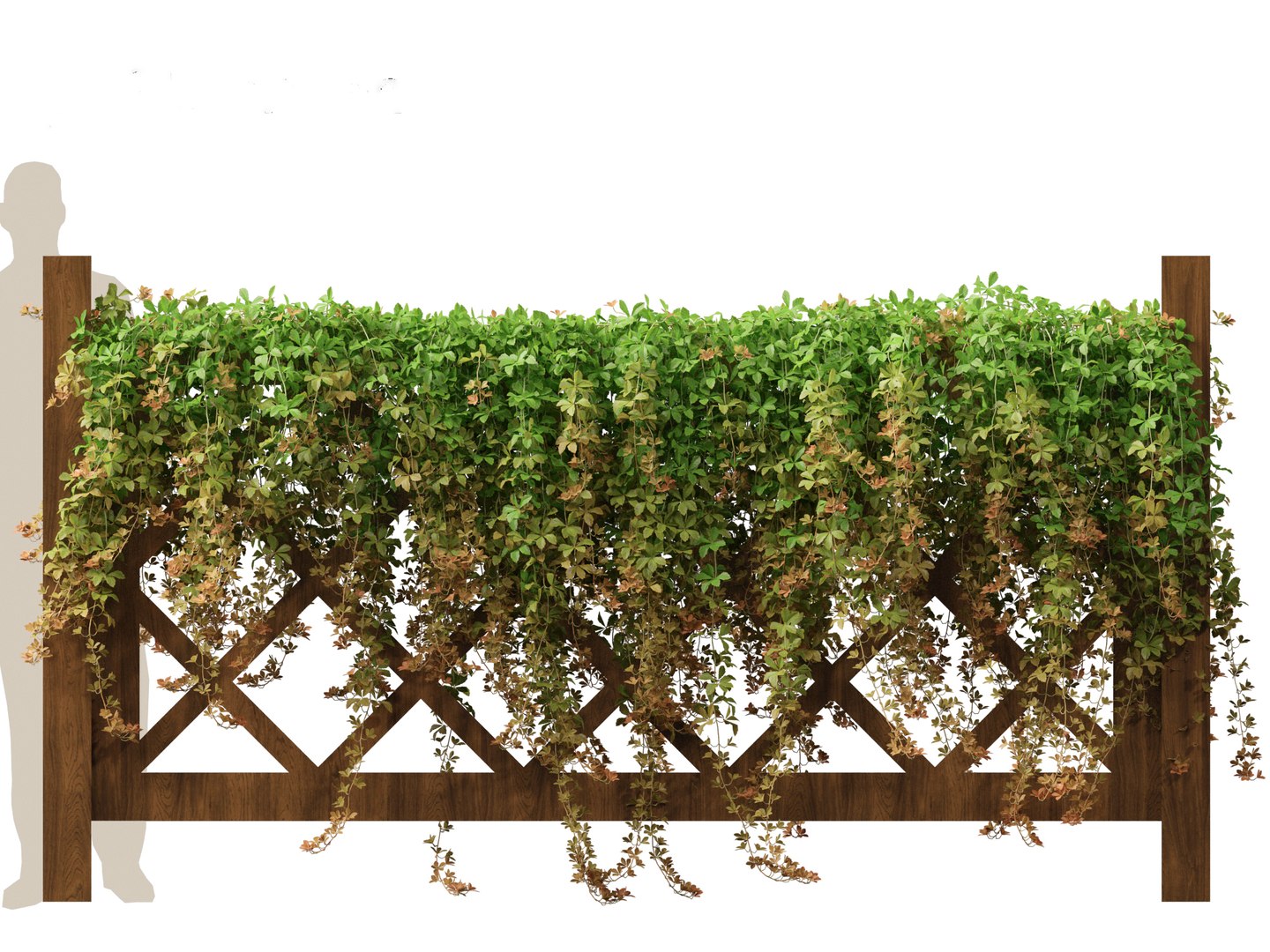 Parthenocissus Sikkimensis - Sikkim 01 3D https://p.turbosquid.com/ts-thumb/Zd/XJ8Msn/zS/parthenocissussikkimensis015/jpg/1690350694/1920x1080/fit_q87/5cbb1e9e7c02392a5cfda3763d93b8c09e1480c3/parthenocissussikkimensis015.jpg