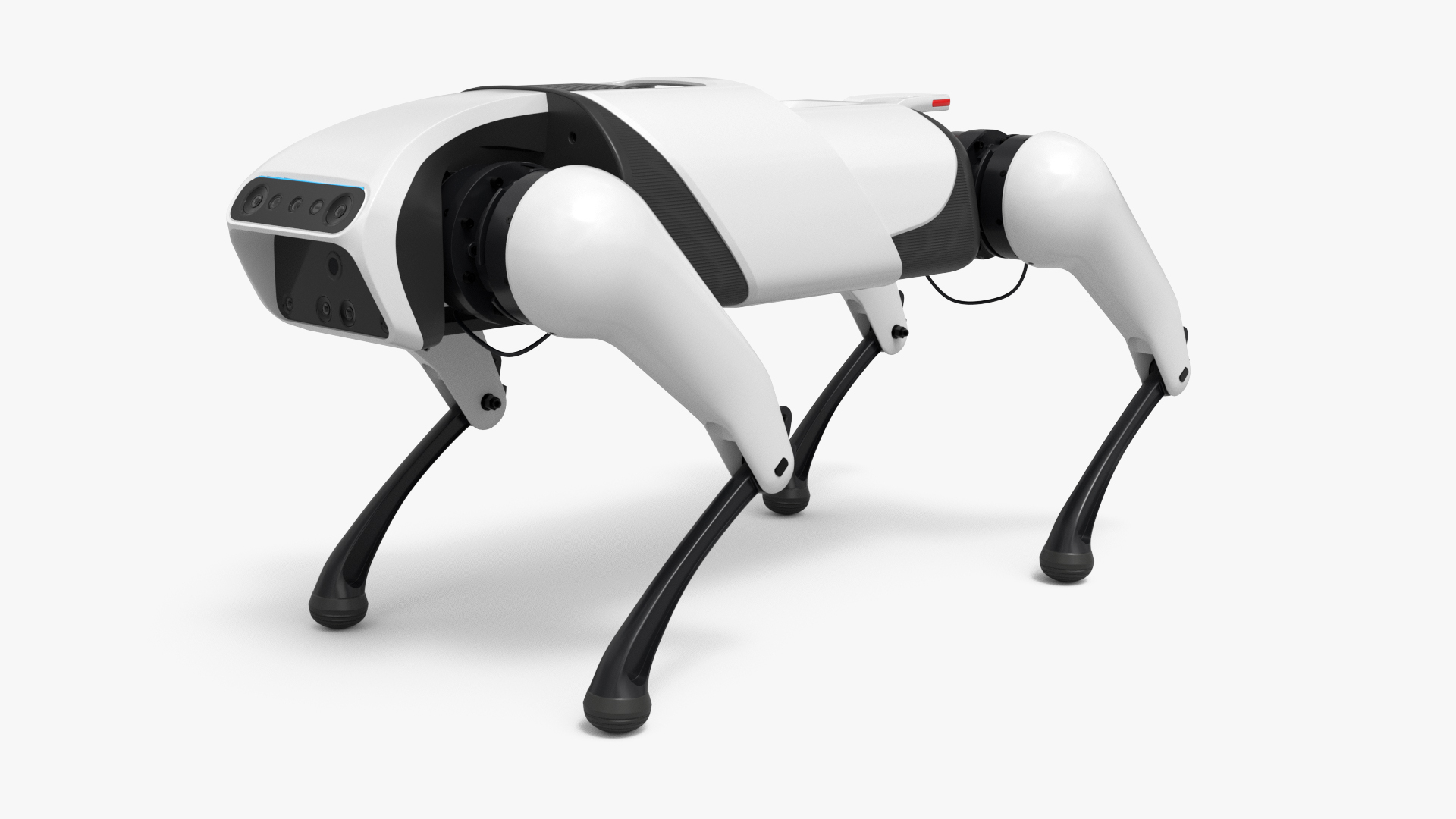 CyberDog Quadruped Robot Rigged For Maya 3D model https://p.turbosquid.com/ts-thumb/Zd/qBrJ2P/Qy/cyberdog_quadruped_robot_rigged_for_maya_360/jpg/1777293945/1920x1080/turn_fit_q99/4982eb9e55e10d6ffc622db24aa56512d51c28cd/cyberdog_quadruped_robot_rigged_for_maya_360-1.jpg