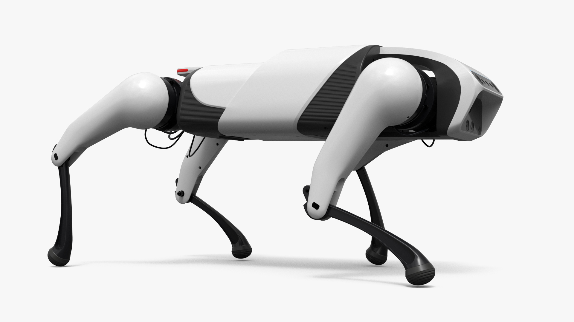CyberDog Quadruped Robot Rigged For Maya 3D model https://p.turbosquid.com/ts-thumb/Zd/qBrJ2P/dq/cyberdog_quadruped_robot_rigged_for_maya_361/jpg/1777293964/1920x1080/turn_fit_q99/d03846b1f44e4772aac0c65eea64edfba17c0437/cyberdog_quadruped_robot_rigged_for_maya_361-1.jpg