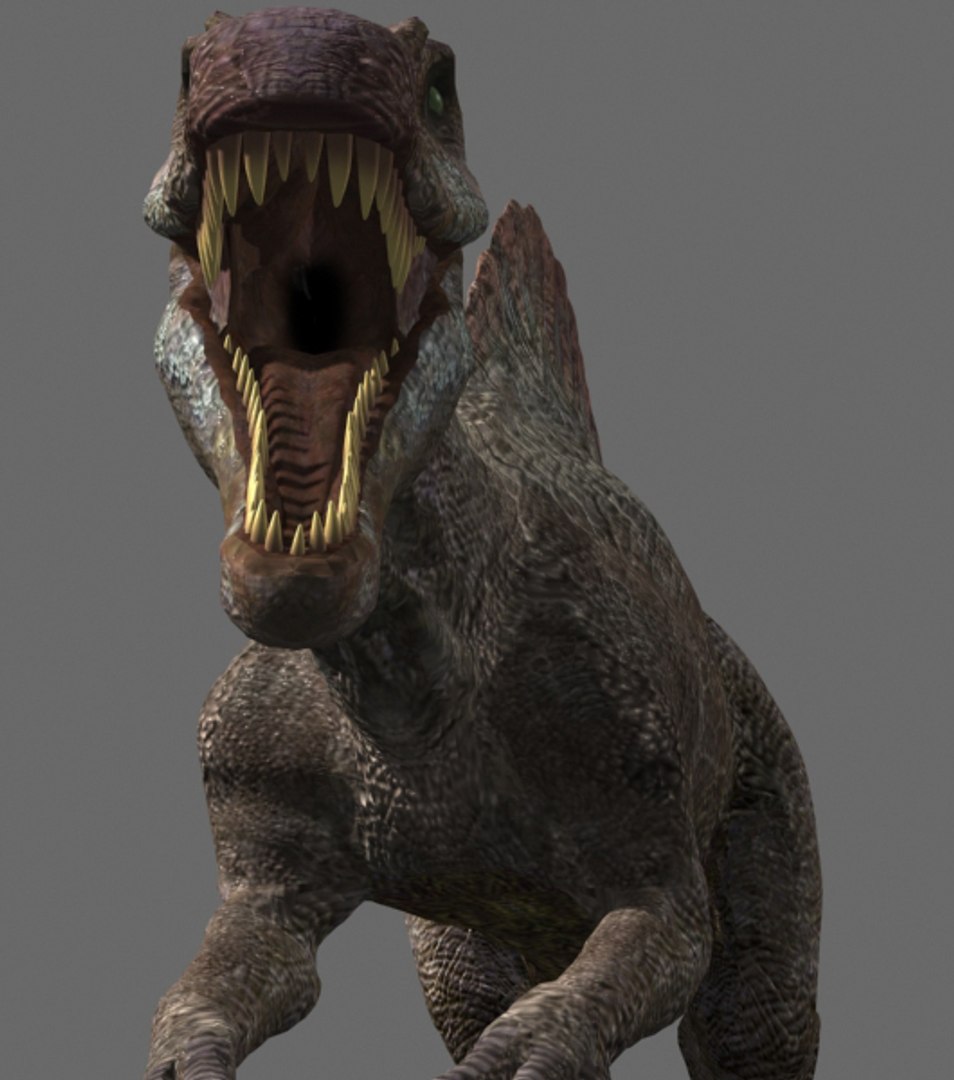 3d pack animations character https://p.turbosquid.com/ts-thumb/Ze/5qFDfW/21qCpdyc/spinov11/jpg/1288795097/1920x1080/fit_q87/90b2e969379e95fcf854e04ad85f471d6481f840/spinov11.jpg