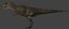 Incredible JP Dinosaur PACK