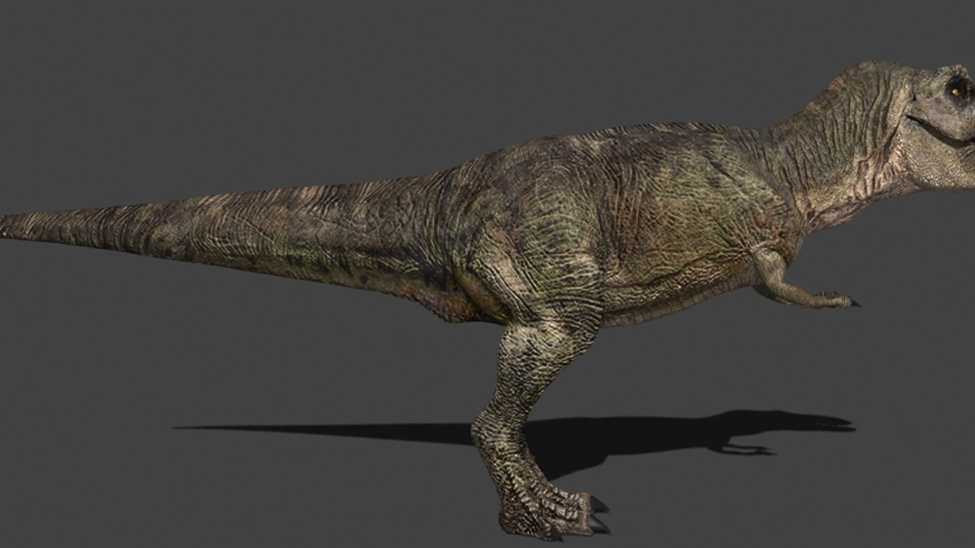 3d pack animations character https://p.turbosquid.com/ts-thumb/Ze/5qFDfW/4CbritWN/rexi4/jpg/1288795619/1920x1080/fit_q87/983d332c6b86fe96f59428e8e2342f88535f7379/rexi4.jpg
