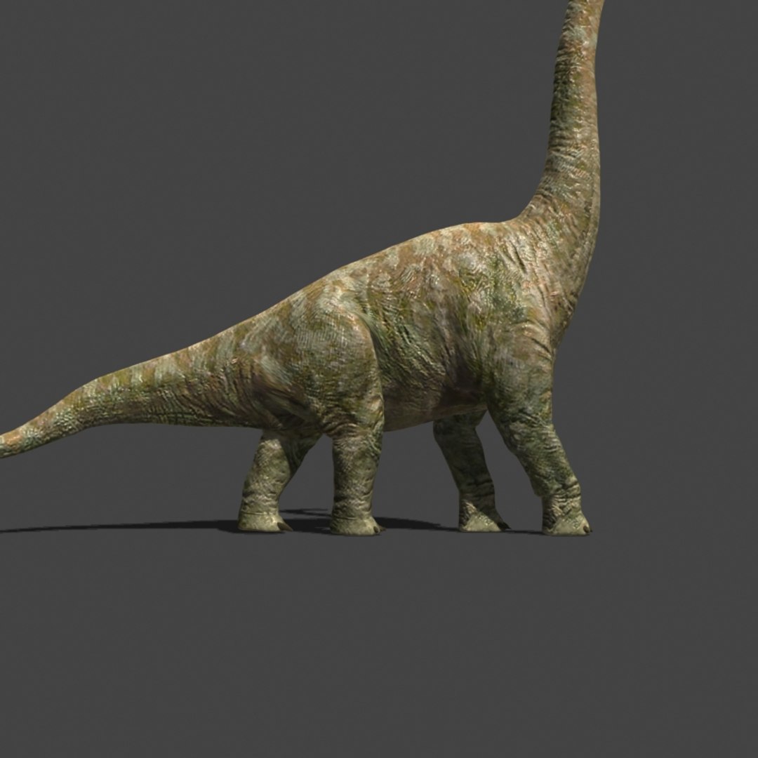 3d pack animations character https://p.turbosquid.com/ts-thumb/Ze/5qFDfW/C8l4eAnG/bri4/jpg/1542307318/1920x1080/fit_q87/9cb47454b52d6009c68c2543ad8fffb367acca5a/bri4.jpg