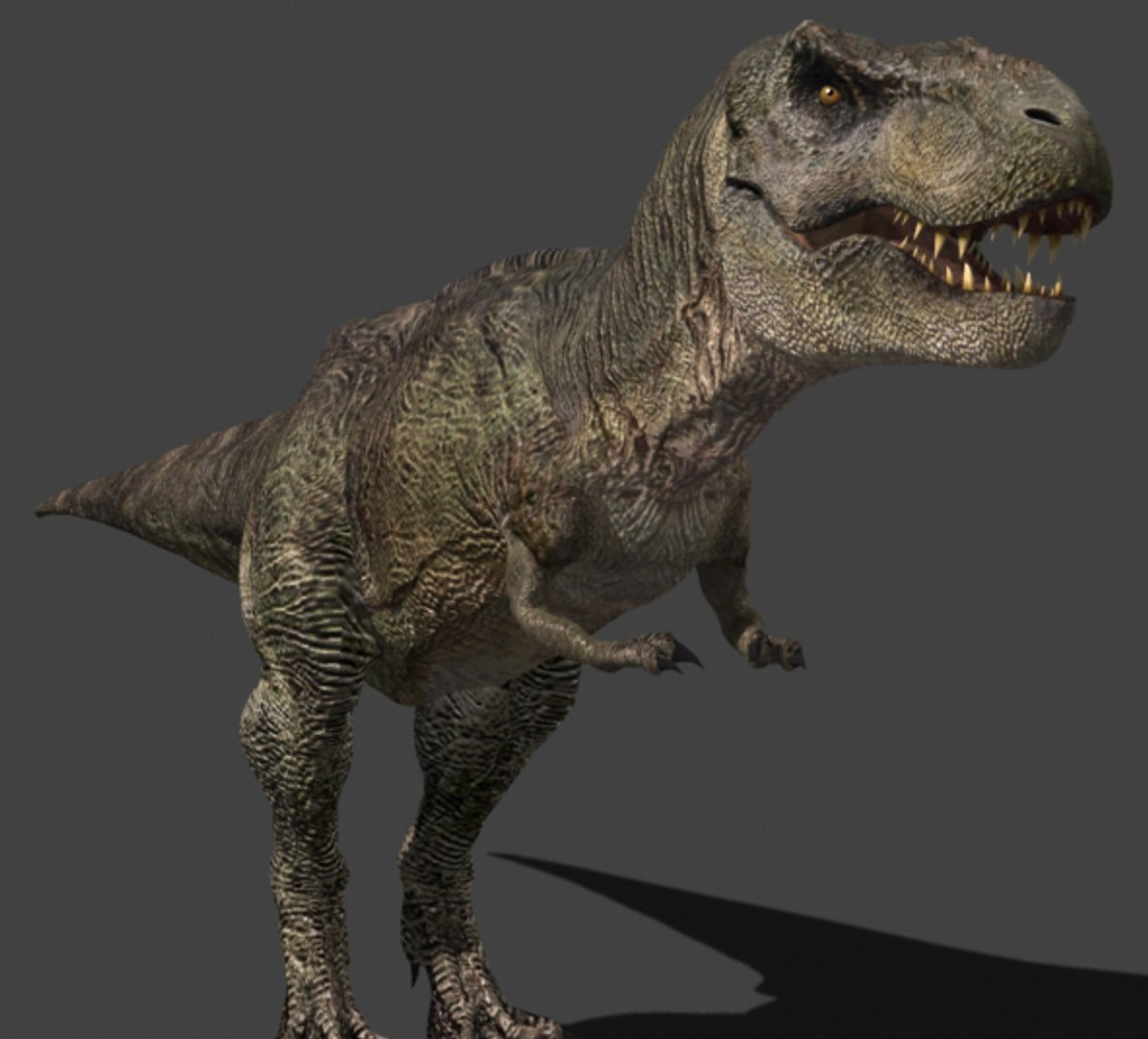 3d pack animations character https://p.turbosquid.com/ts-thumb/Ze/5qFDfW/D2VjWH66/rexi14/jpg/1288795619/1920x1080/fit_q87/4332174a7e78f6b6a8b0bef6c695e4eba7805e0f/rexi14.jpg