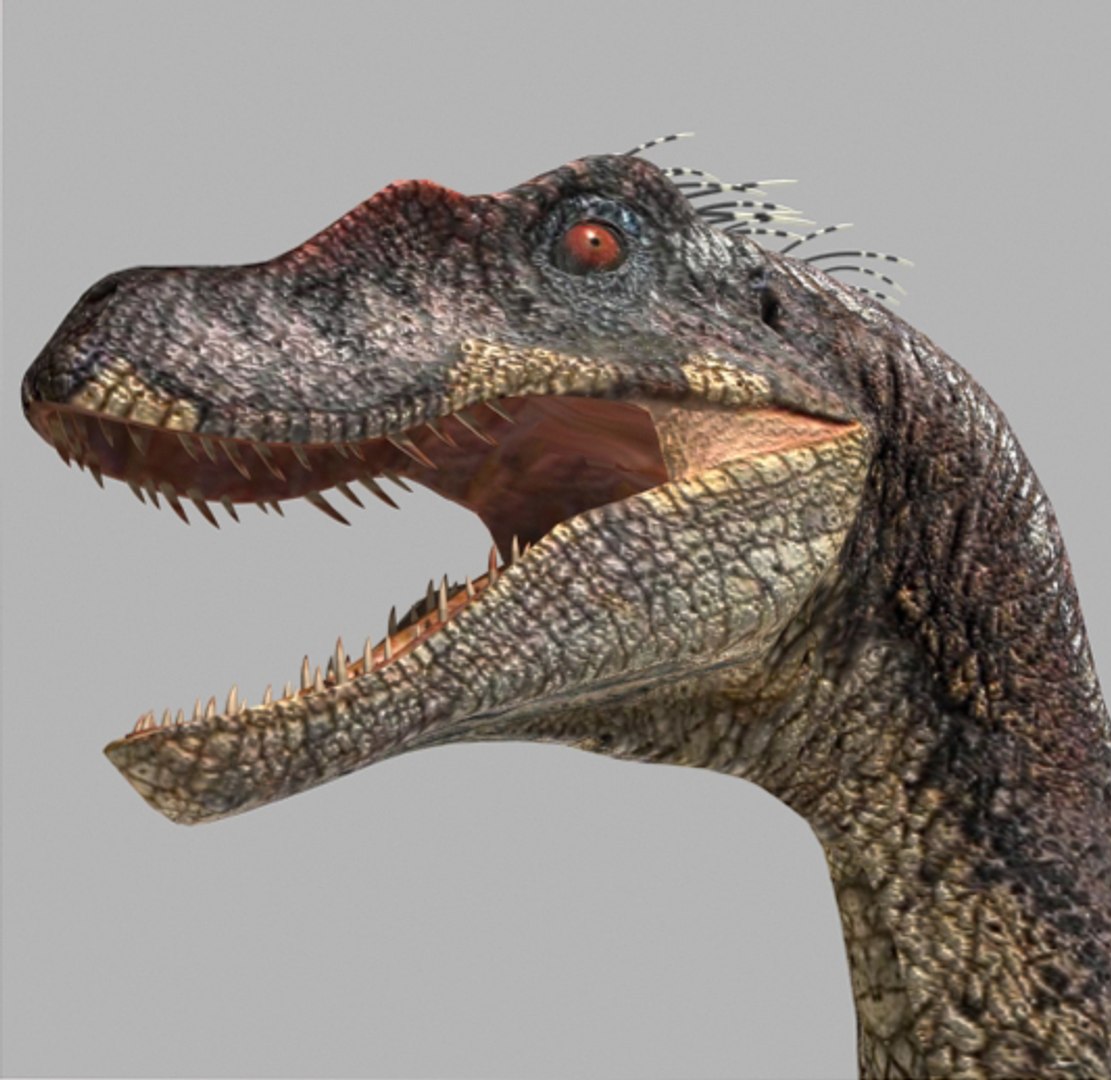 3d pack animations character https://p.turbosquid.com/ts-thumb/Ze/5qFDfW/FUyMnBk6/10/jpg/1288796555/1920x1080/fit_q87/fdc7639cdb81608fff45ab8e116dde20de56c456/10.jpg