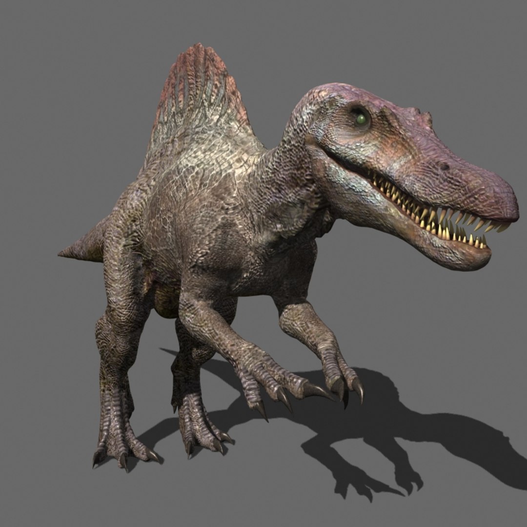 3d pack animations character https://p.turbosquid.com/ts-thumb/Ze/5qFDfW/GQ3of9Si/spipi/jpg/1542306844/1920x1080/fit_q87/74901b99d78597b5a8ee16500db05bfa18444378/spipi.jpg