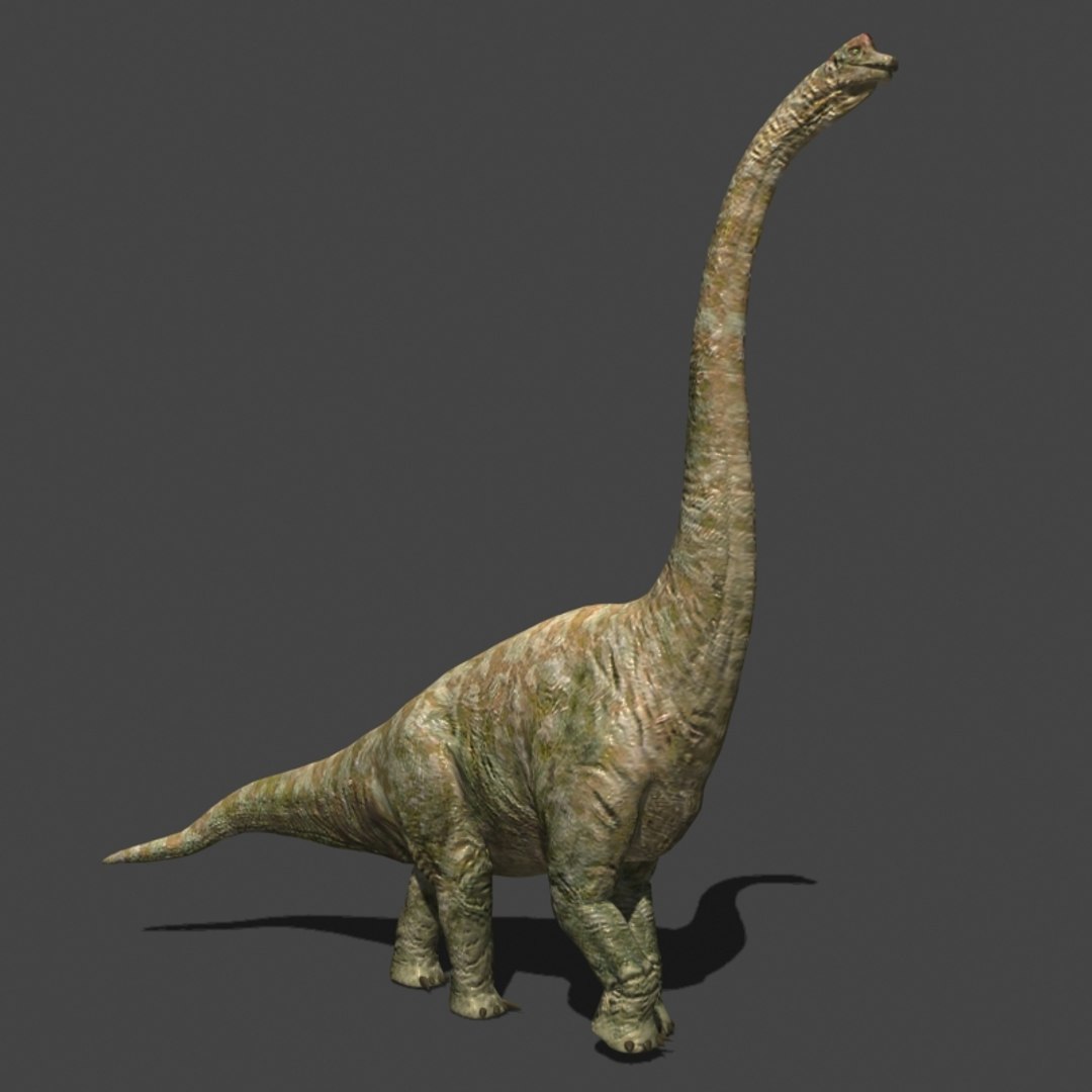 3d pack animations character https://p.turbosquid.com/ts-thumb/Ze/5qFDfW/GqgoPDx0/bri3/jpg/1542307318/1920x1080/fit_q87/d6b1fdc435ca41f32816e74a01966e224f573d2a/bri3.jpg
