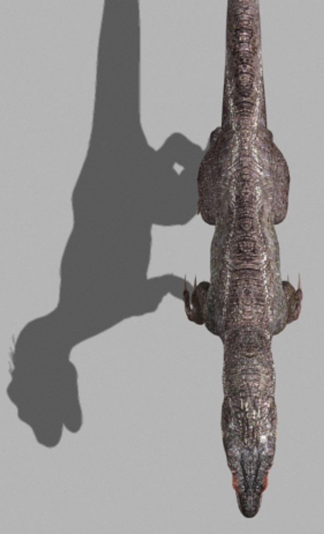 3d pack animations character https://p.turbosquid.com/ts-thumb/Ze/5qFDfW/Jt3uJBF5/15/jpg/1288796555/1920x1080/fit_q87/3a7f8de9450ec131896cbeef11b117afef4577f6/15.jpg