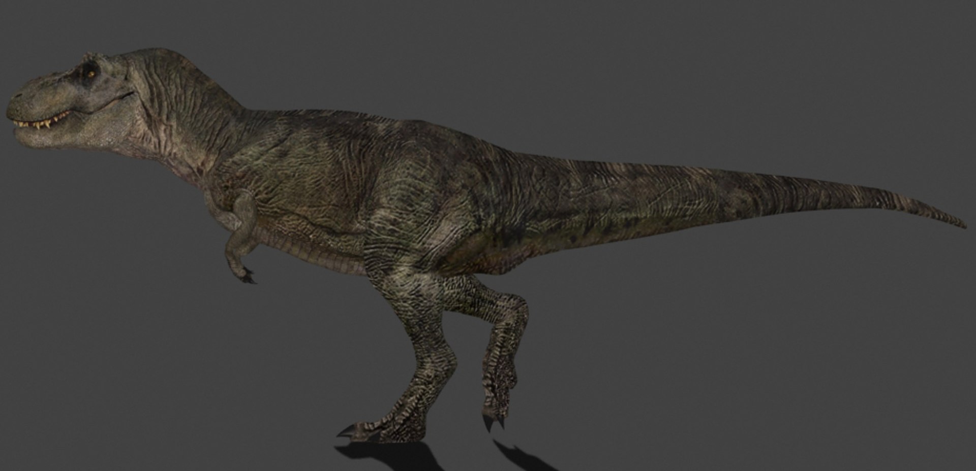 3d pack animations character https://p.turbosquid.com/ts-thumb/Ze/5qFDfW/R1SF6349/rexi10/jpg/1288795619/1920x1080/fit_q87/1bbc549d88c94f9d725fe7eec50c27ca6c903962/rexi10.jpg