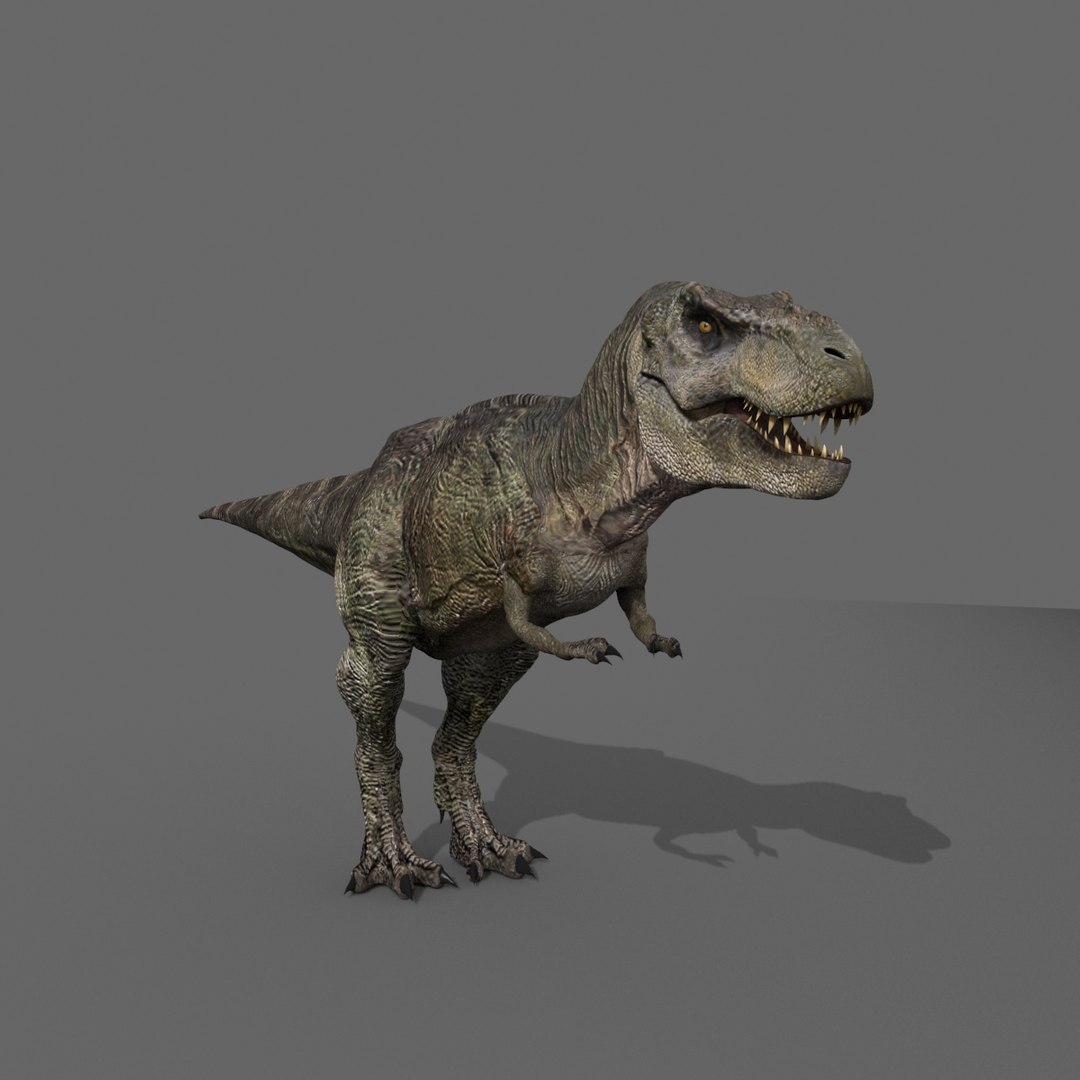 3d pack animations character https://p.turbosquid.com/ts-thumb/Ze/5qFDfW/Ubyqylfn/rexi4/jpg/1542307030/1920x1080/fit_q87/81831dc187c3b53e3171924796e21005cc317801/rexi4.jpg