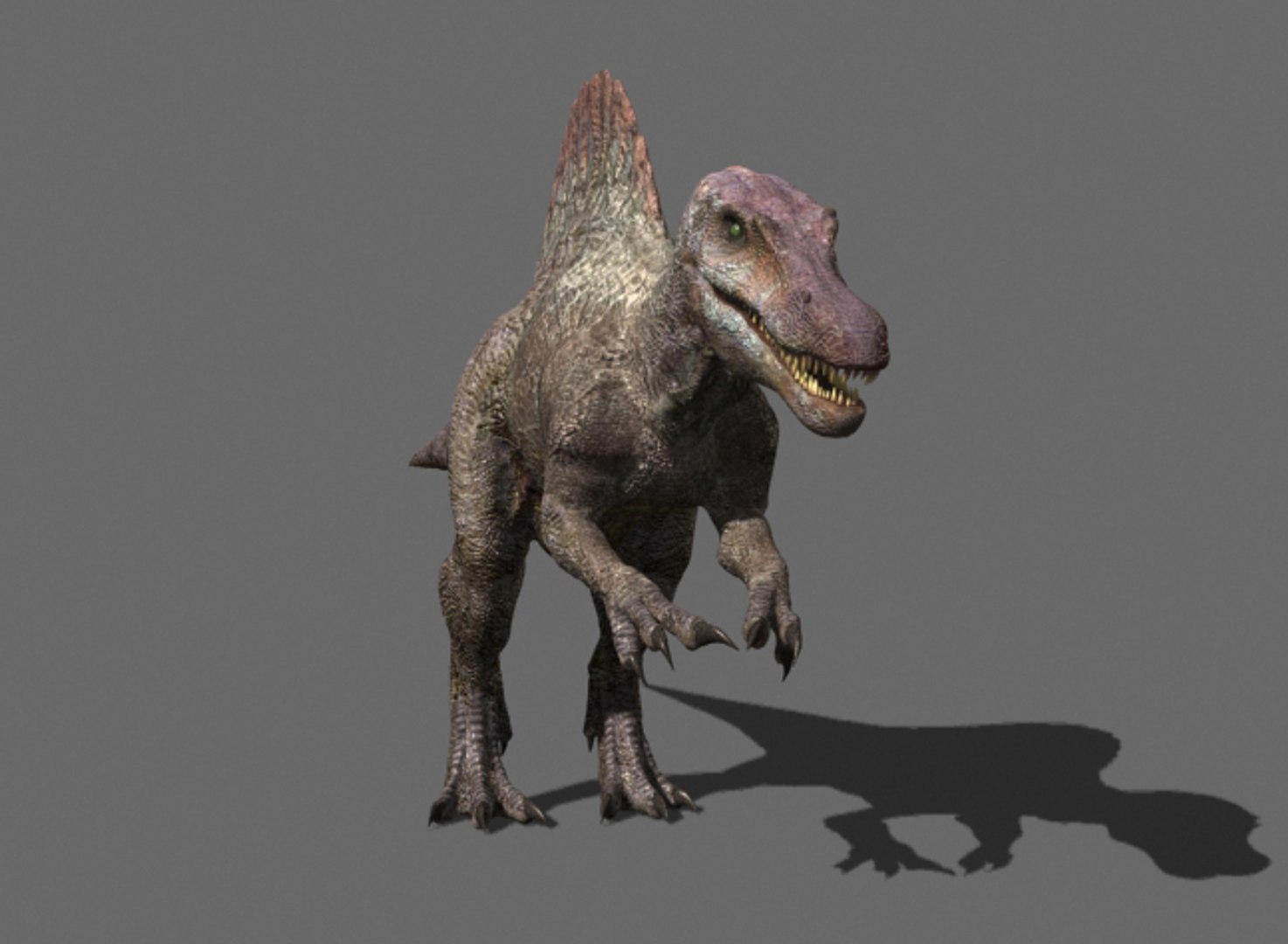 3d pack animations character https://p.turbosquid.com/ts-thumb/Ze/5qFDfW/VT3XUWJQ/spino1/jpg/1288795097/1920x1080/fit_q87/307d4b9eae9b6793e88584c7c3c7cb7b5c73c712/spino1.jpg