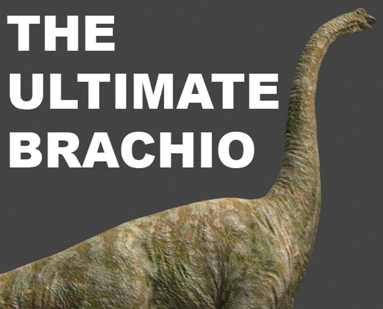 3d pack animations character https://p.turbosquid.com/ts-thumb/Ze/5qFDfW/ZcQhuIaT/bra1/jpg/1288795817/1920x1080/fit_q87/4923f4a8d09fbab93a4232730885e79856891599/bra1.jpg