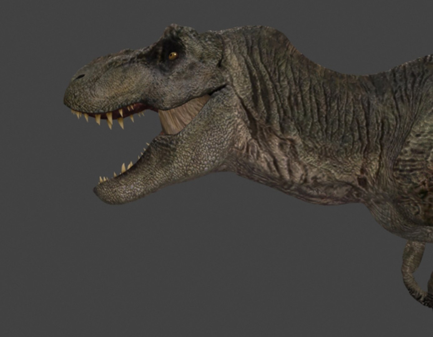 3d pack animations character https://p.turbosquid.com/ts-thumb/Ze/5qFDfW/aPKt219K/rexi30/jpg/1288795620/1920x1080/fit_q87/fda387519e9b3307de08e74737d9008a6dfb5adf/rexi30.jpg