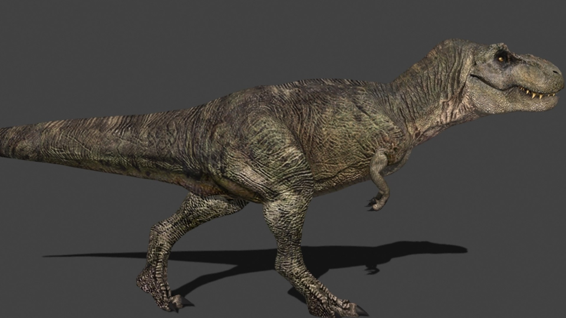 3d pack animations character https://p.turbosquid.com/ts-thumb/Ze/5qFDfW/c0pepdkO/rexi6/jpg/1288795619/1920x1080/fit_q87/0afc7279f075ec8f612a3427982e18c7eb59554a/rexi6.jpg