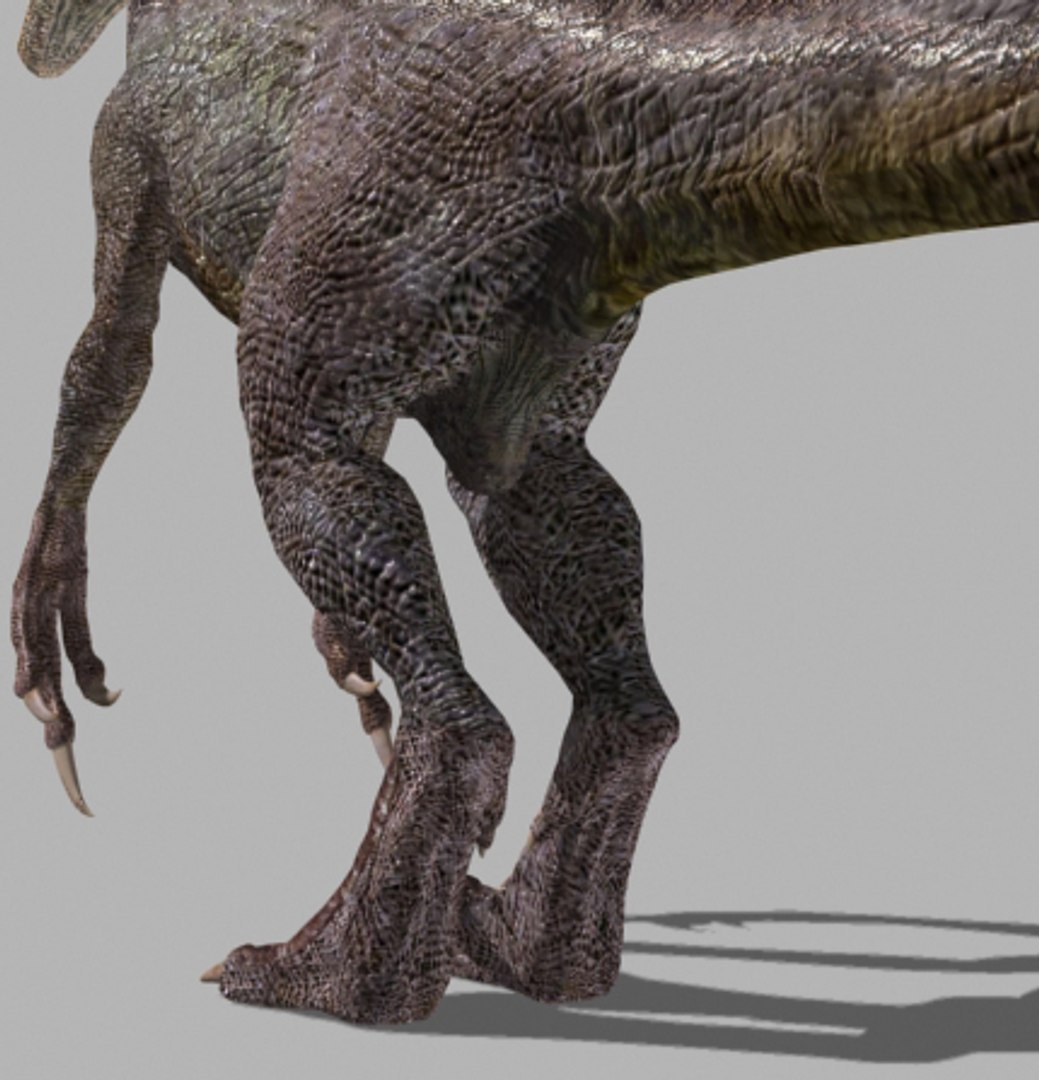 3d pack animations character https://p.turbosquid.com/ts-thumb/Ze/5qFDfW/fIgqftmM/23/jpg/1288796555/1920x1080/fit_q87/c5980dc40af85cd1fcf86fa69fda7750d6b7be2f/23.jpg