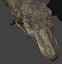 Incredible JP Dinosaur PACK