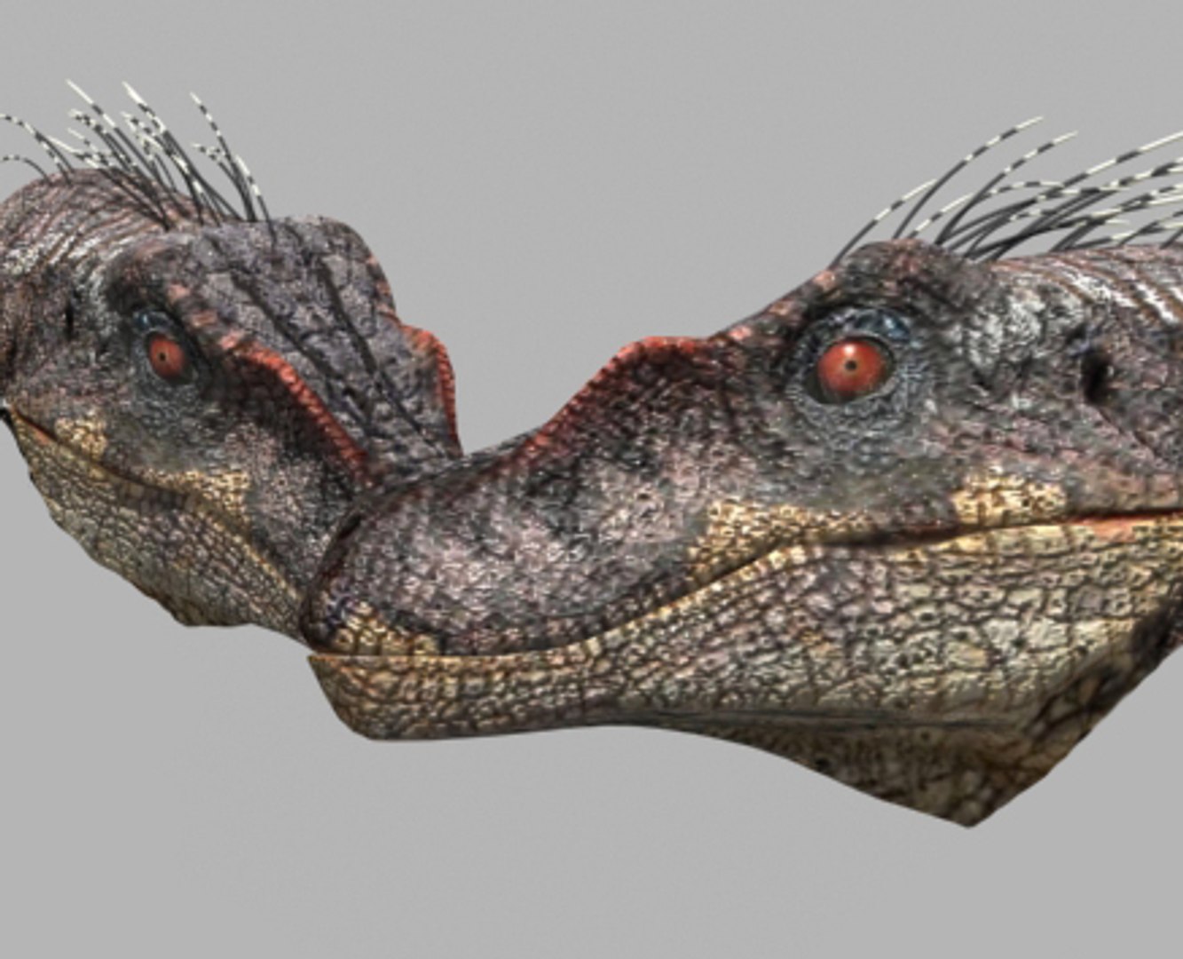 3d pack animations character https://p.turbosquid.com/ts-thumb/Ze/5qFDfW/m5Eq45pI/21/jpg/1288796555/1920x1080/fit_q87/d5a995c0bbcbea622230da32445179d89ebe8c32/21.jpg