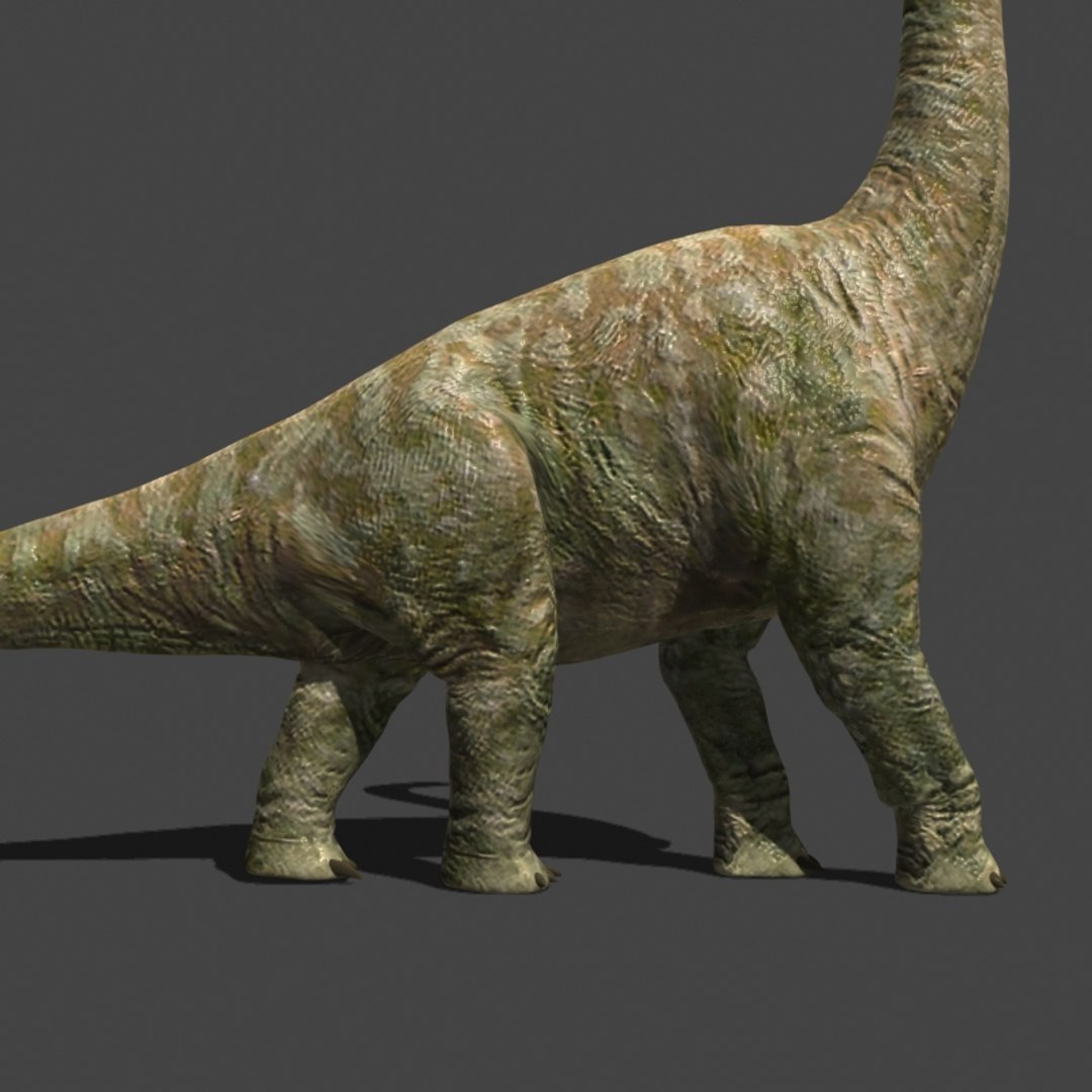 3d pack animations character https://p.turbosquid.com/ts-thumb/Ze/5qFDfW/n86u9sc2/bri5/jpg/1542307318/1920x1080/fit_q87/b80325cd69096fcb498afc97501e2c7a3e4ba1b0/bri5.jpg