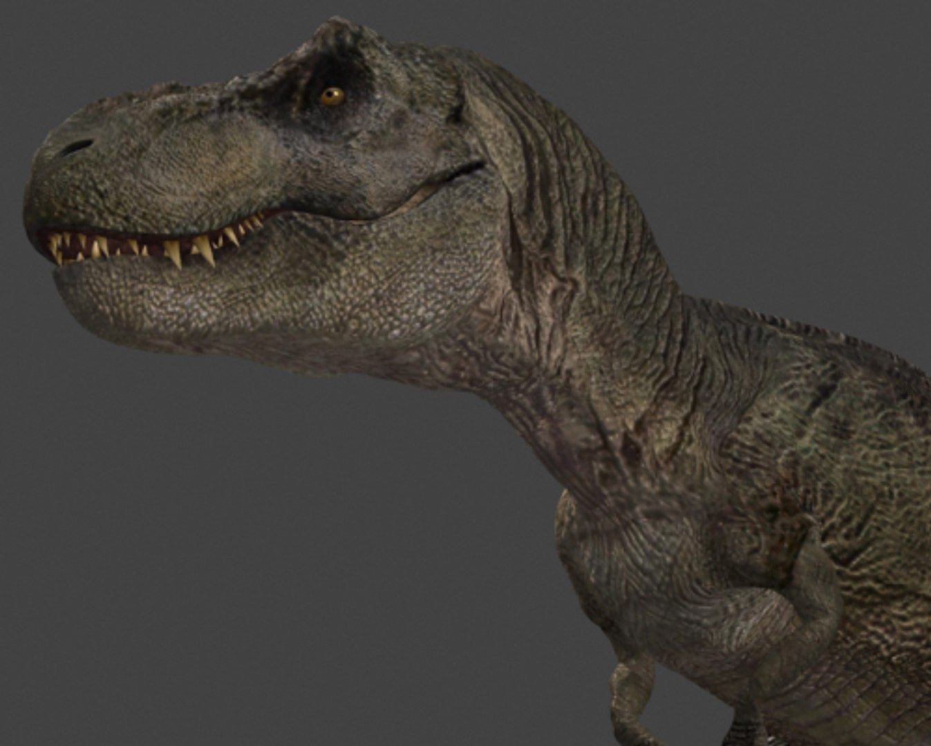 3d pack animations character https://p.turbosquid.com/ts-thumb/Ze/5qFDfW/nsbSfw5T/rexi245/jpg/1288795620/1920x1080/fit_q87/15600e97fd77af82d334647ad04efa8e391caf11/rexi245.jpg