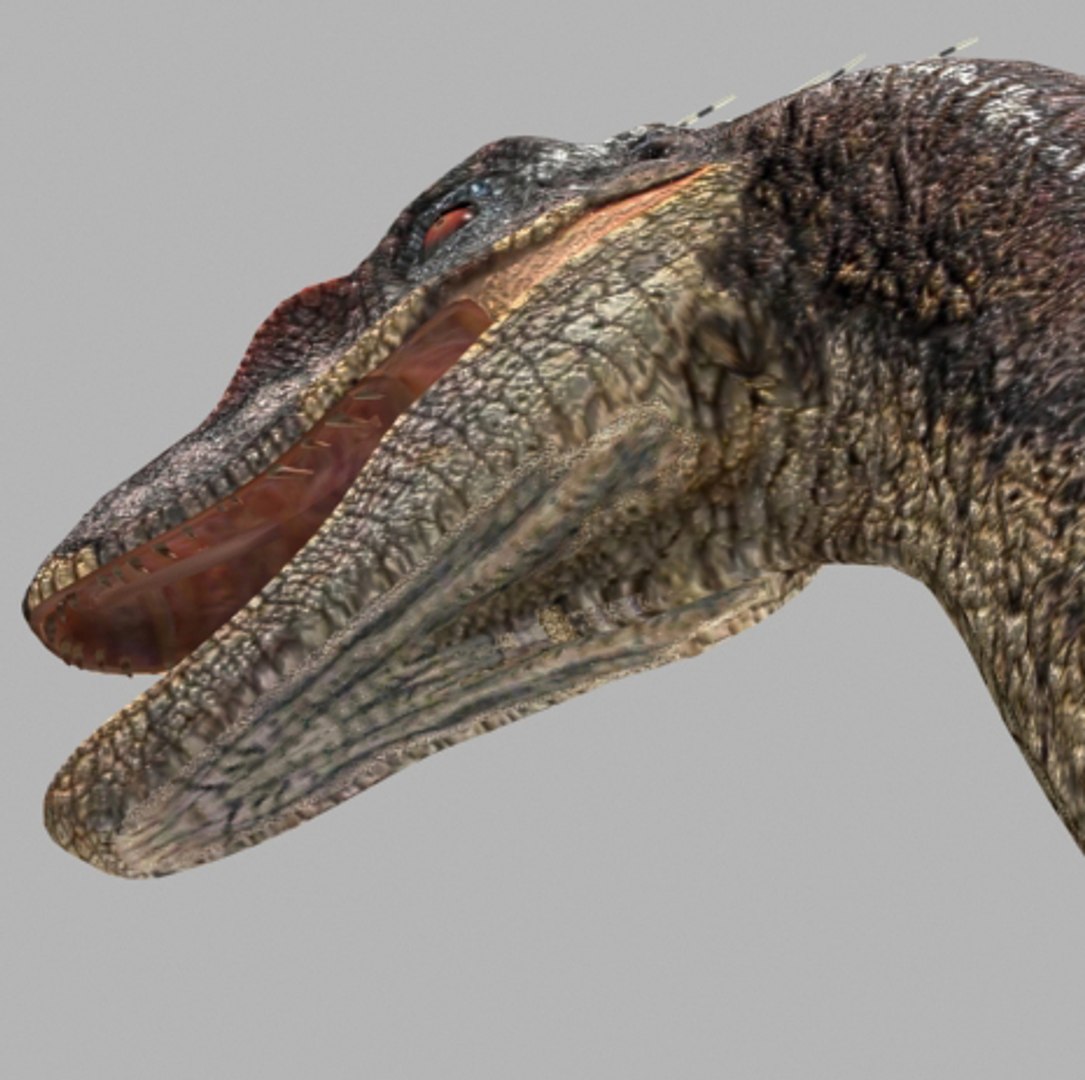 3d pack animations character https://p.turbosquid.com/ts-thumb/Ze/5qFDfW/o68VNVrM/13/jpg/1288796555/1920x1080/fit_q87/4bbc3cfeb2b84efbe21db4b6536e9b7034ef154f/13.jpg