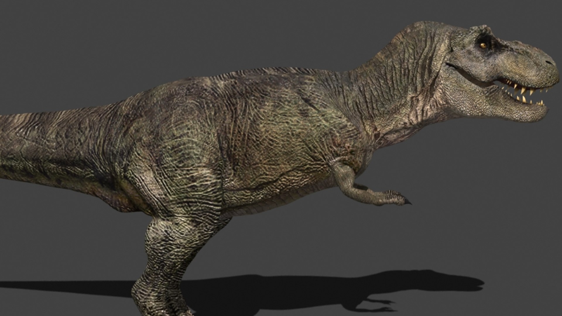 3d pack animations character https://p.turbosquid.com/ts-thumb/Ze/5qFDfW/qPzixG4j/rexi17/jpg/1288795619/1920x1080/fit_q87/ad6dbcd2683766ade30abfceacee182c38f320f8/rexi17.jpg