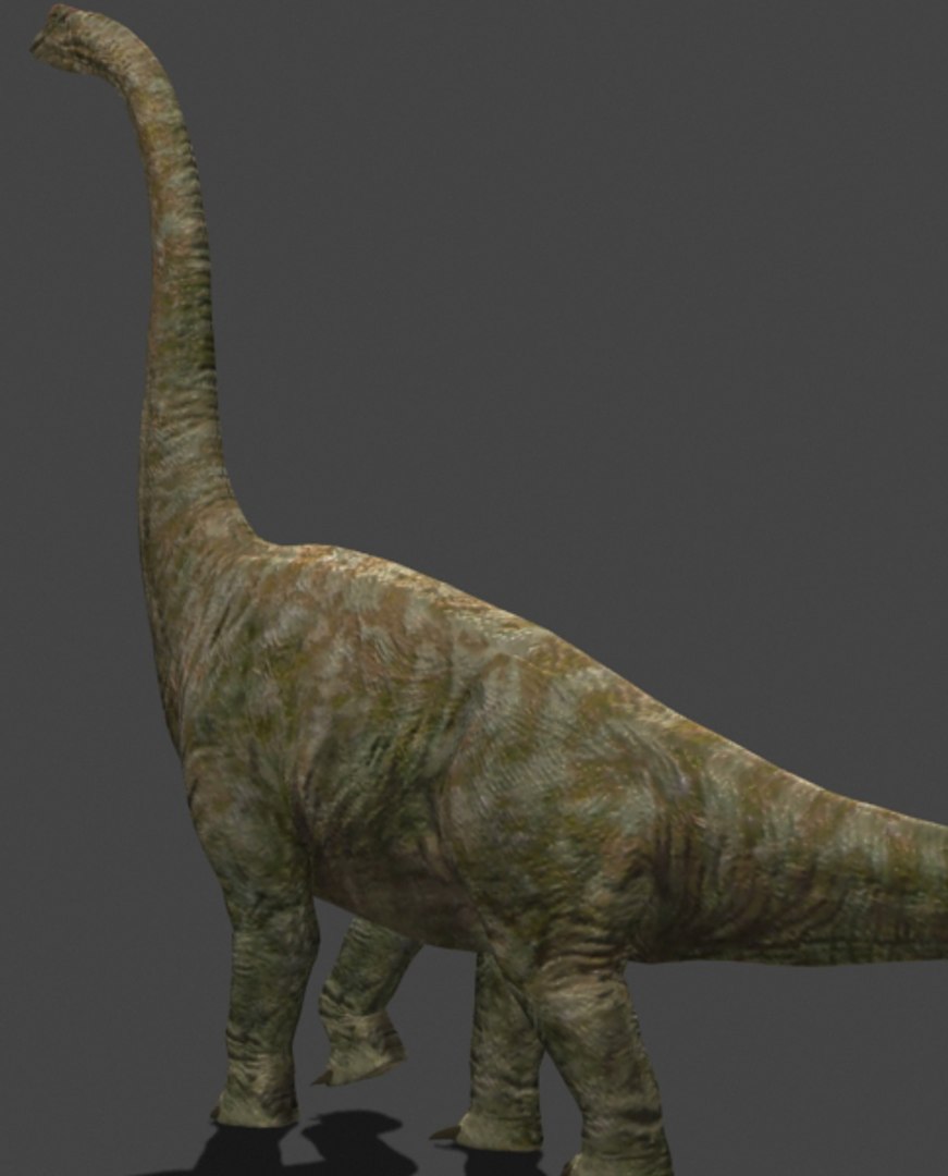 3d pack animations character https://p.turbosquid.com/ts-thumb/Ze/5qFDfW/tGsPD6Kn/bra11/jpg/1288795817/1920x1080/fit_q87/65ac6d353c98b207cd09ab970c55e173b42a7557/bra11.jpg