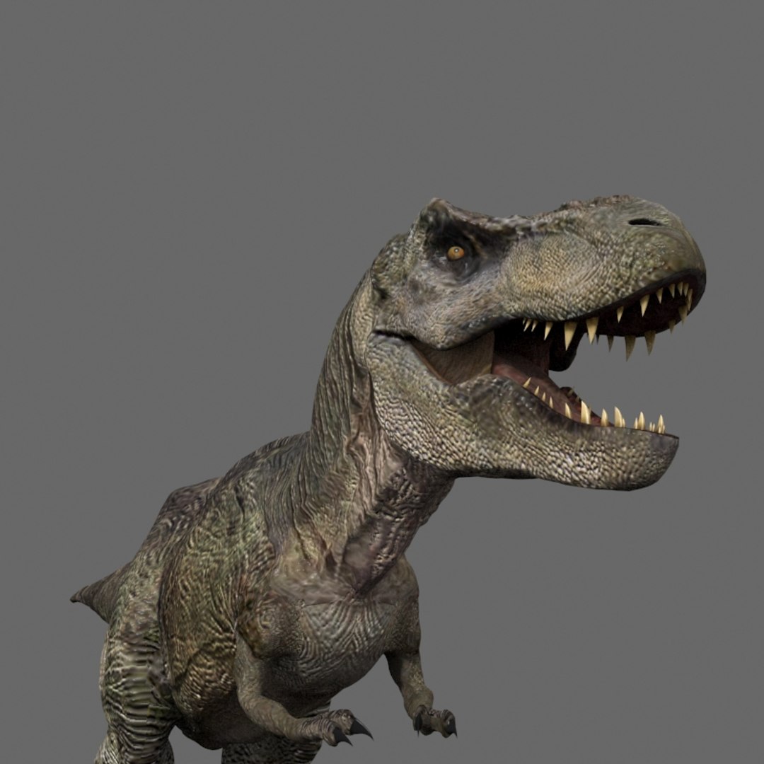 3d pack animations character https://p.turbosquid.com/ts-thumb/Ze/5qFDfW/w0YdzVqq/rexi3/jpg/1542307030/1920x1080/fit_q87/3a0e7b0f40d3ceffee2c2a711855eb104b7f9239/rexi3.jpg