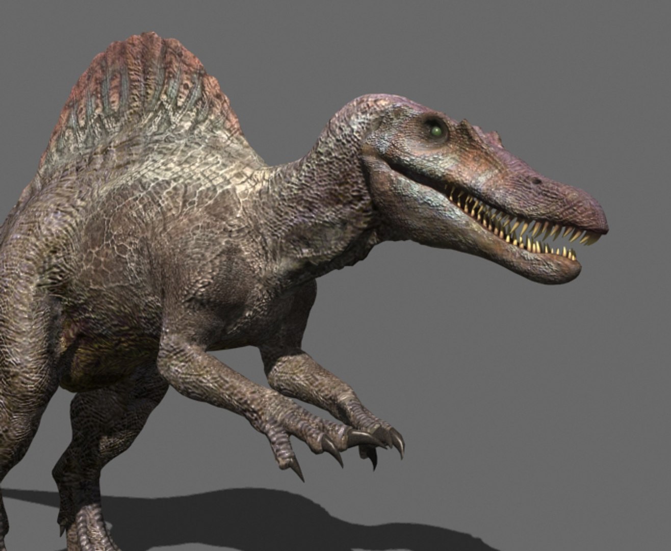 3d pack animations character https://p.turbosquid.com/ts-thumb/Ze/5qFDfW/wecJUhhI/spinov15/jpg/1288795097/1920x1080/fit_q87/5ac259c66027278bf17973ec5170c2df71cc1ba2/spinov15.jpg