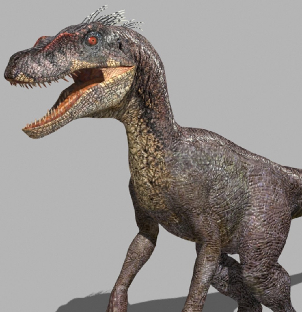 3d pack animations character https://p.turbosquid.com/ts-thumb/Ze/5qFDfW/yNOuk5sL/28/jpg/1288796555/1920x1080/fit_q87/819cdeae21d5e963be6facc3ba5485c97b25c5e3/28.jpg