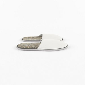 bath shoes 3D model