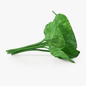 c4d realistic spinach real