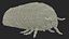 Maggot May Bug Fur
